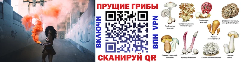 Псилоцибиновые грибы мухоморы  Нефтеюганск 